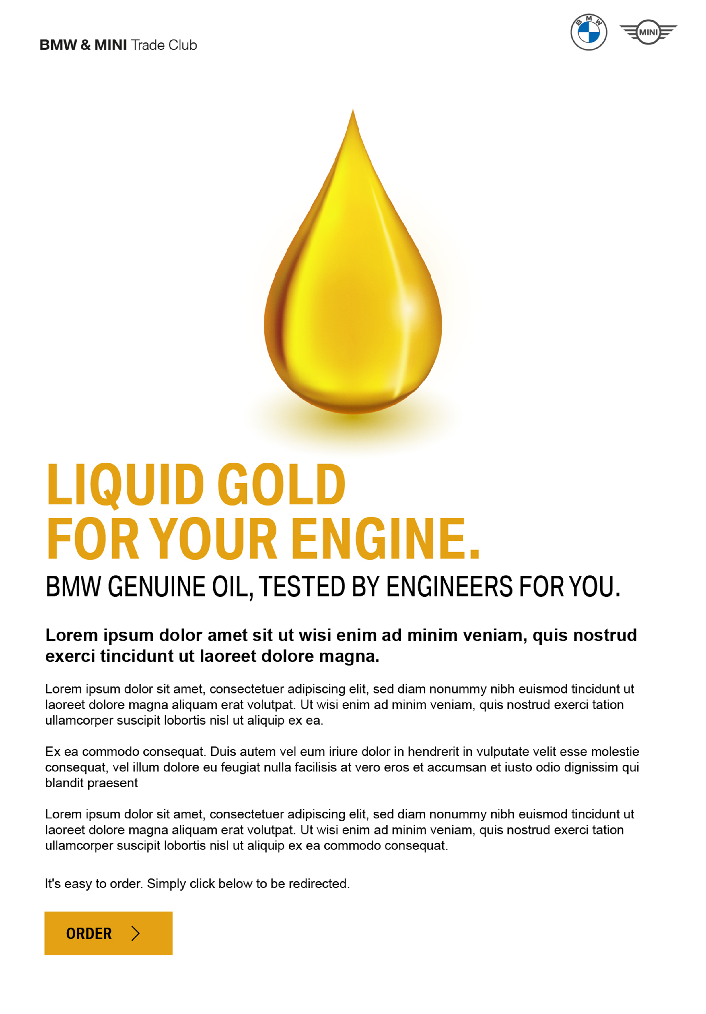 BMW MINI Project Image Oil 2